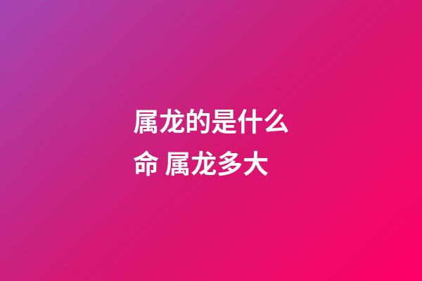 属龙的是什么命 属龙多大-第1张-观点-玄机派